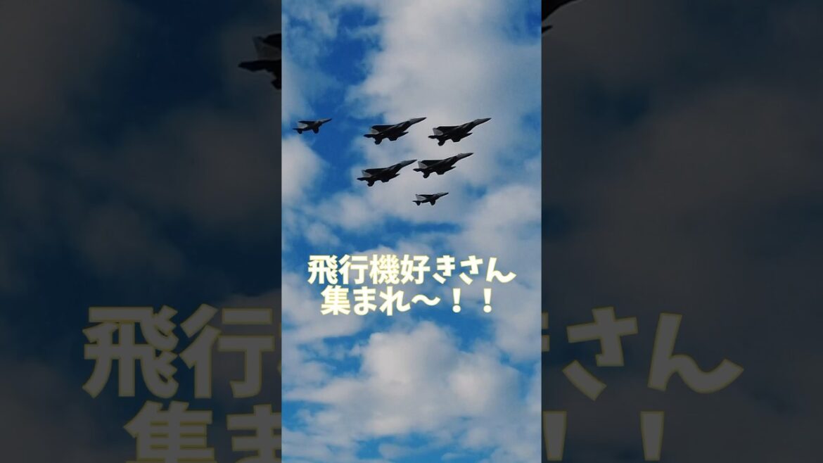 【美ら島エアーフェスタ2023】那覇基地航空祭！きゃんトラでは旅好き飛行機好きのメンバーさん募集中！！#飛行機好き #航空自衛隊 #航空祭 #ブルーインパルス