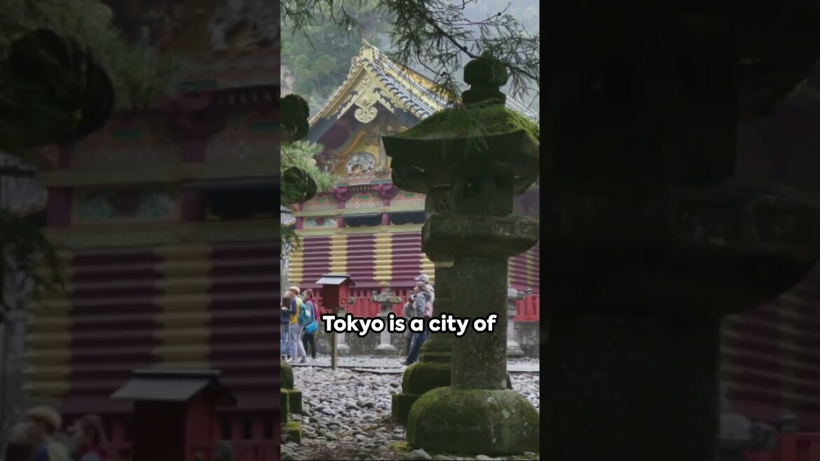 Tokyo Adventure: A Glimpse into the Future #shortsclip #travel #bucketlist