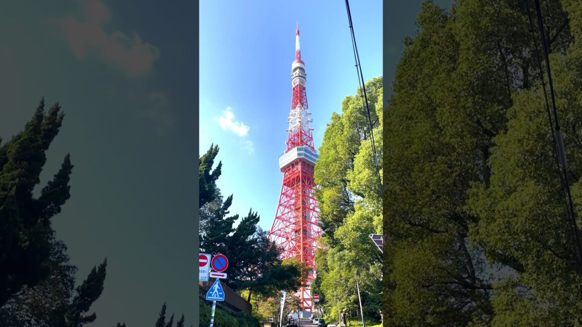 🗼Tokyo tower #japan #kyoto #streetfashion #fashion #travel #travelvlog #shorts #ytshorts 🗼Tokyo tower #japan #kyoto #streetfashion #fashion #travel #travelvlog #shorts #ytshorts