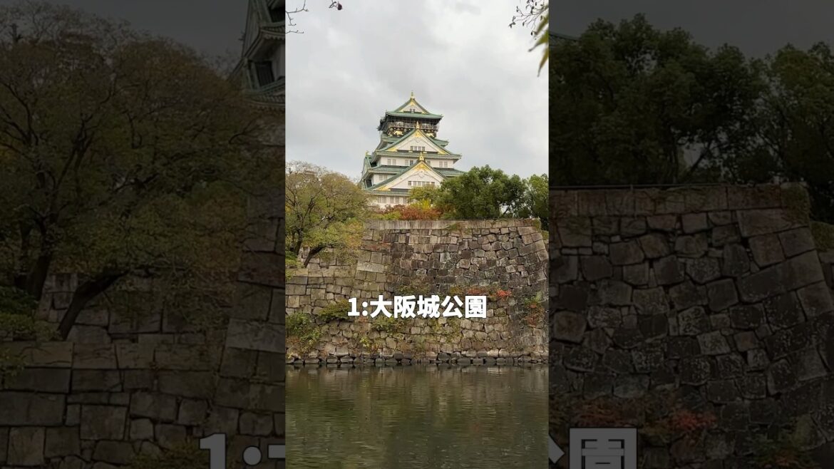 必看！大阪自由行必去6大觀光景點～一次通通告訴你#shorts #日本 #旅遊 #日本旅遊 #大阪 #大阪自由行 #自由行 #娛樂