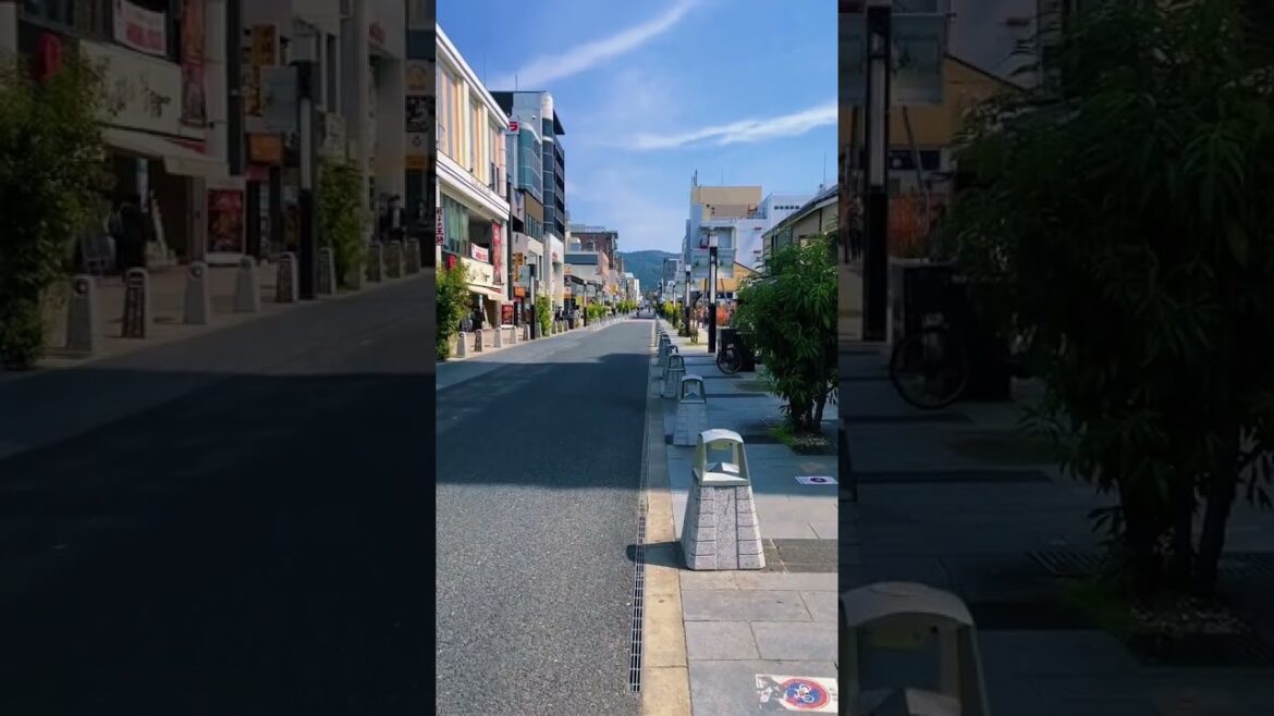 #kyoto #Japan #travel #tokyo #anime #japanese #railway #photography #nature #garden #cherryblossom #kyoto #Japan #travel #tokyo #anime #japanese #railway #photography #nature #garden #cherryblossom