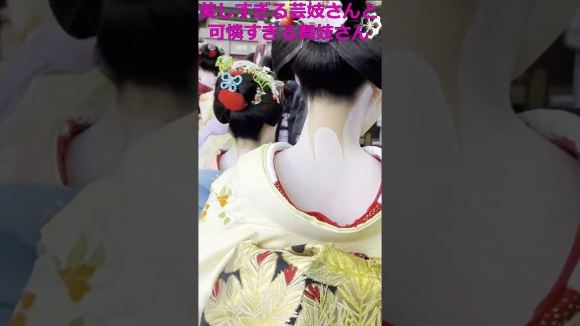 #舞妓 #歌舞伎 #南座  #京都の舞妓さん #吉例顔見世興行 #花街総見 #京都観光 #Kyoto shrine #Kyoto Japan #shorts #maiko #asiantravel