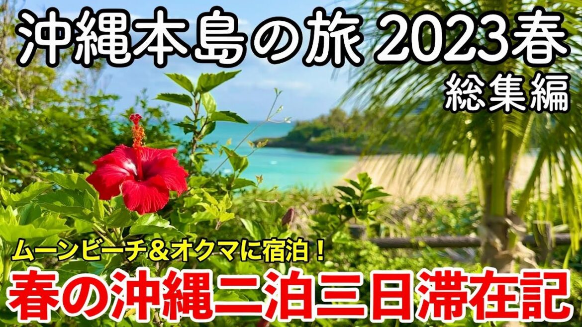 【沖縄旅行】沖縄本島の旅 2023春 総集編 〜春の沖縄二泊三日滞在記〜 【ザ・ムーンビーチミュージアムリゾート・オクマプライベートビーチ&リゾートに宿泊!幸ちゃんそば・ナゴパイナップルパーク登場!】 【沖縄旅行】沖縄本島の旅 2023春 総集編 〜春の沖縄二泊三日滞在記〜 【ザ・ムーンビーチミュージアムリゾート・オクマプライベートビーチ&リゾートに宿泊!幸ちゃんそば・ナゴパイナップルパーク登場!】