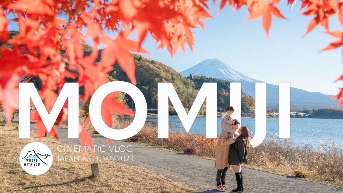 Momiji l JAPAN AUTUMN CINEMATIC VLOG 2023 l Shot on Sony ZV-E1 Momiji l JAPAN AUTUMN CINEMATIC VLOG 2023 l Shot on Sony ZV-E1
