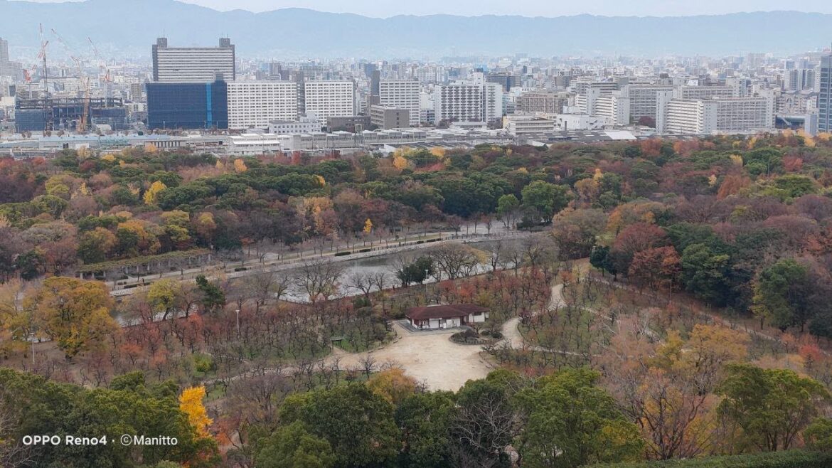 The OSAKA city view and tour, Osaka, Japan Tour #foryou #travel #food #satisfying #streetfood The OSAKA city view and tour, Osaka, Japan Tour #foryou #travel #food #satisfying #streetfood