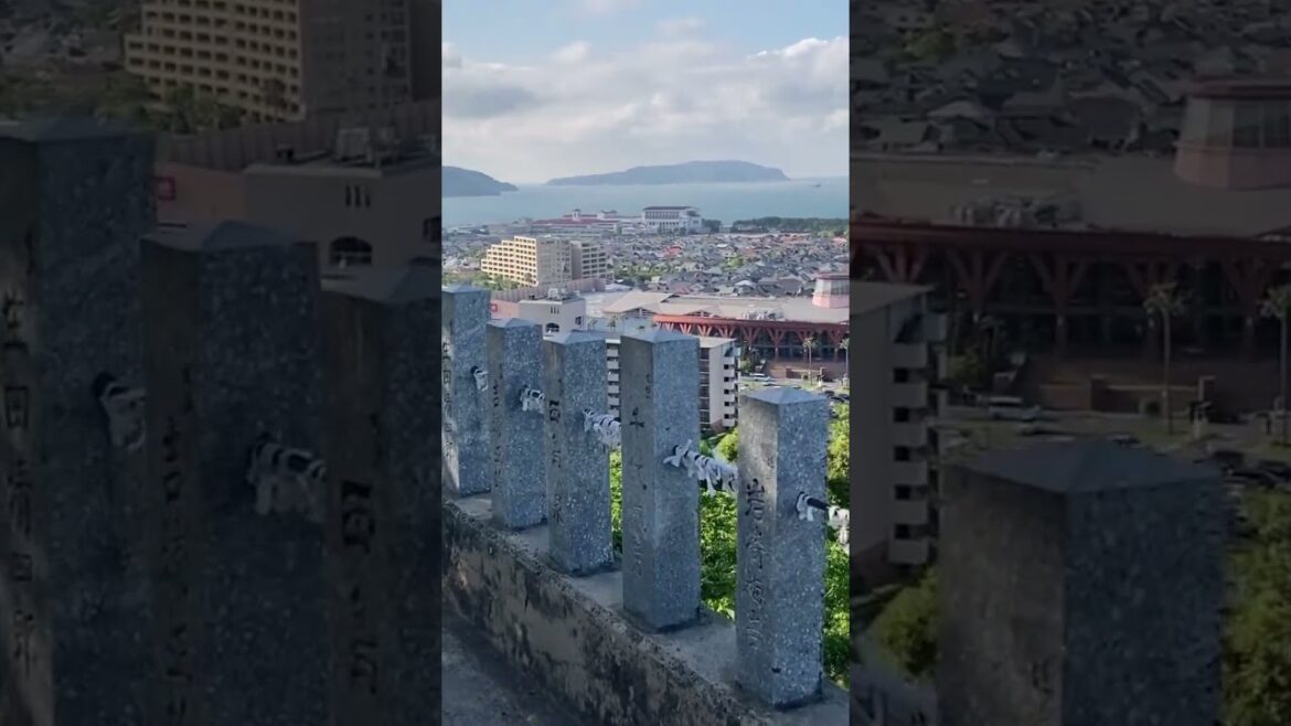 This location in Fukuoka City has some of the best views of standout landmarks.