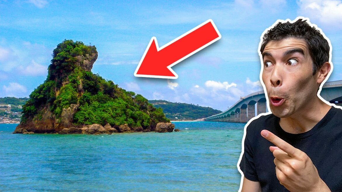 What’s On Kouri Island? | Road Trip To Northern Okinawa (Nago) What's On Kouri Island? | Road Trip To Northern Okinawa (Nago)