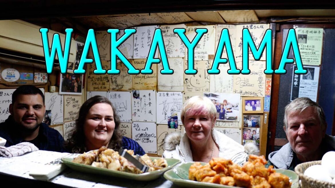 Wakayama tour in the night【 Travel Japan うろうろ和歌山 】ラーメンまる豊と怖い滑り台