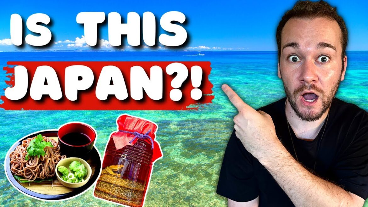 Top 5 Must-Do Activities in Okinawa Japan