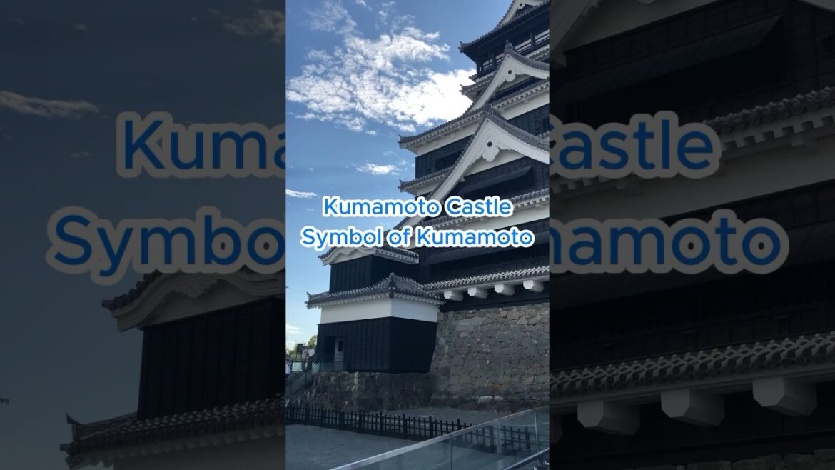 The symbol of Kumamoto is…? #KumamotoCastle #japanlife #kumamoto The symbol of Kumamoto is...? #KumamotoCastle #japanlife #kumamoto
