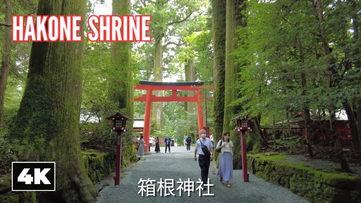 ⛩️ Exploring Hakone's Famous Shrine! || Hakone, Kanagawa [4K] Ambient Walk