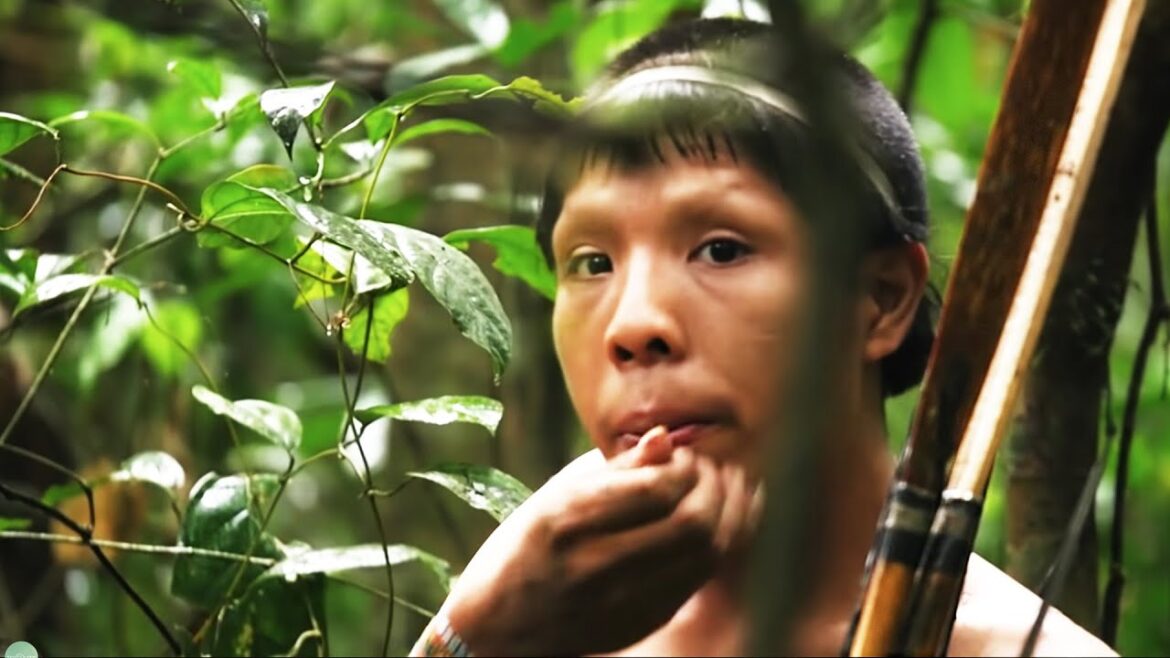 The Isolated Tribe That Time Forgot The Isolated Tribe That Time Forgot