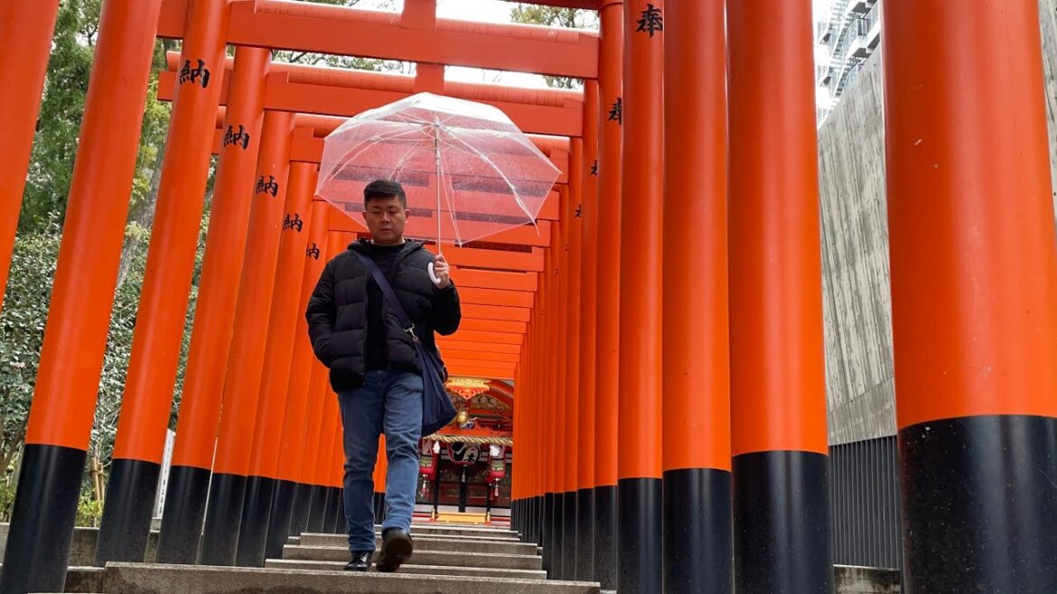 Day trip to Kobe, Japan (2nd day in Osaka) #kobe #japan #travel