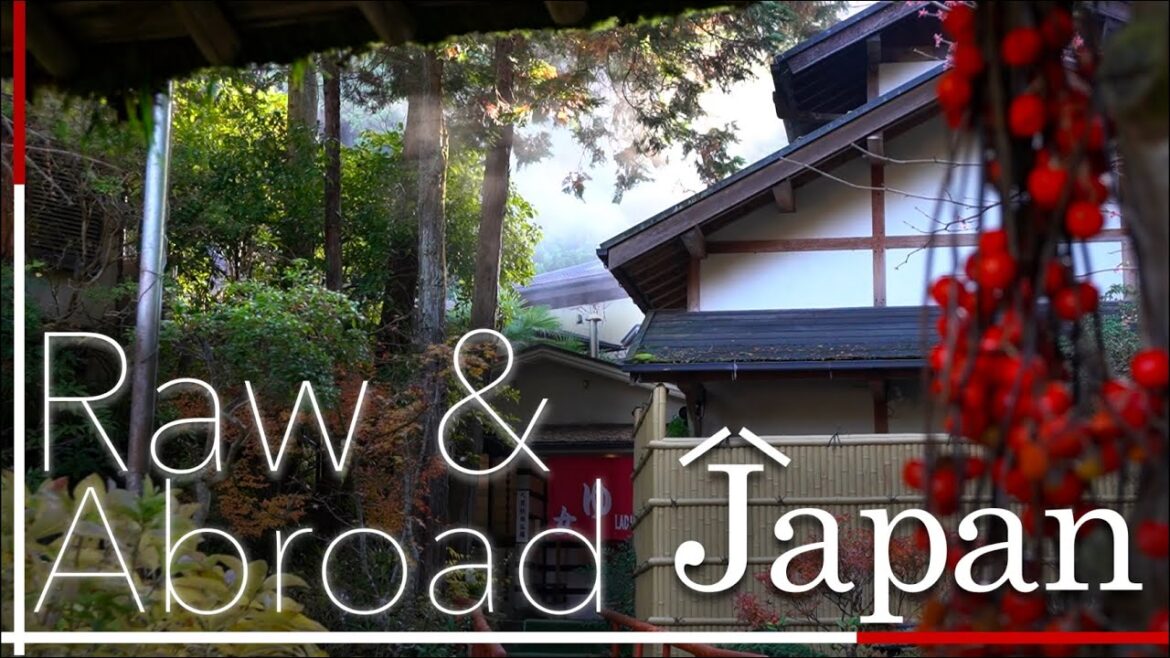 Small Town Canada VS Small Town Japan | Destination Adventure Abroad | Japan Food Tour