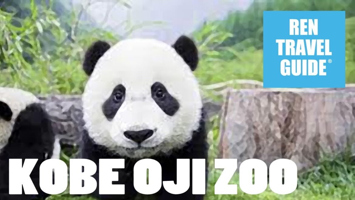 Kobe, Oji Zoo - Ren Travel Guide Travel Video