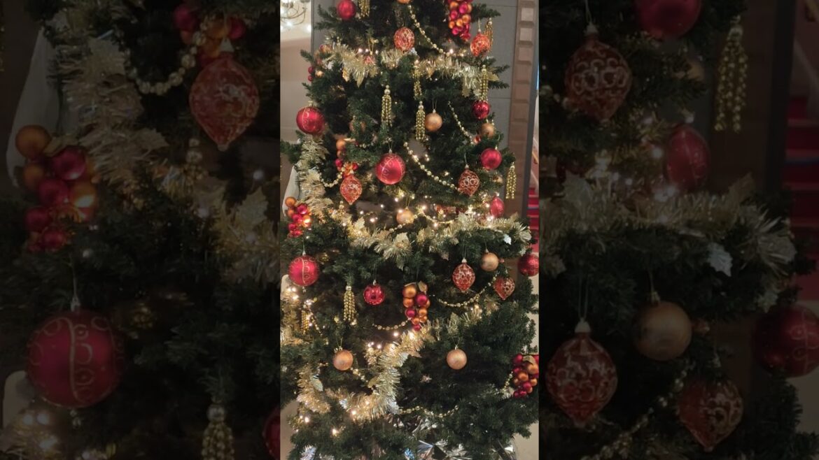 Happy Merry Christmas, Biggest Christmas Tree, Osaka Castle, Japan #foryou #food #travel #satisfying Happy Merry Christmas, Biggest Christmas Tree, Osaka Castle, Japan #foryou #food #travel #satisfying