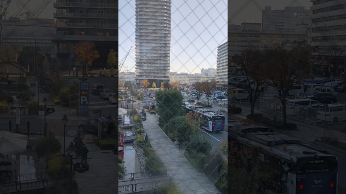 ស្ពានអាកាស, city view, downtown Kobe, Kobe Tower, Japan #foryou  #travel #sushi #food #satisfying ស្ពានអាកាស, city view, downtown Kobe, Kobe Tower, Japan #foryou  #travel #sushi #food #satisfying