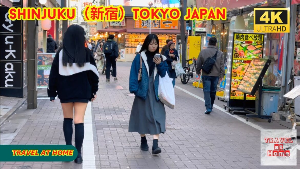 4k hdr japan travel | Walk in Shinjuku（新宿）Tokyo Japan |  Relaxing Natural City ambience