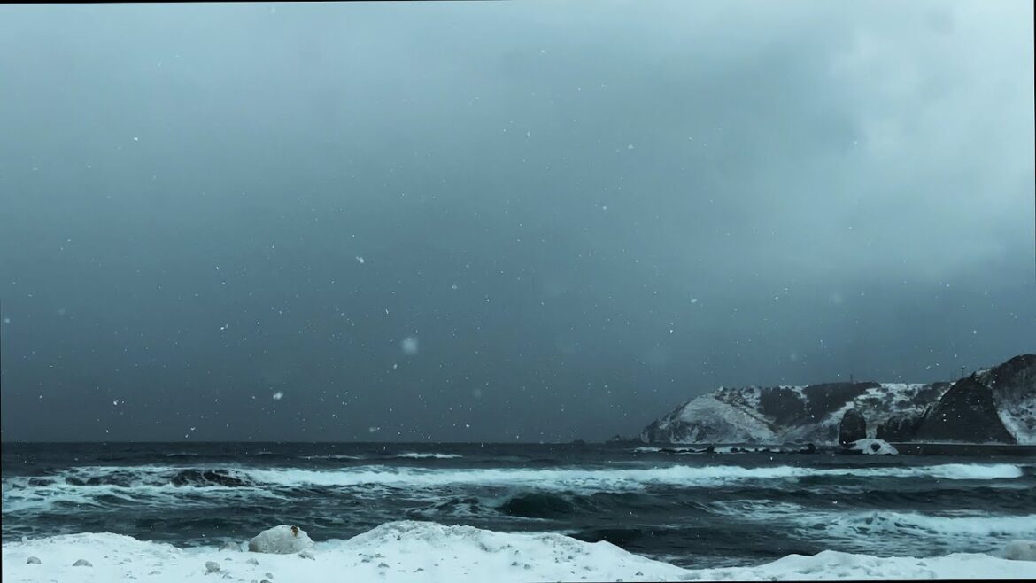 Beautiful Snowfall Shakotan Hokkaido Japan | Snow Landscape Sea Winter 1cutcinema Beautiful Snowfall Shakotan Hokkaido Japan | Snow Landscape Sea Winter 1cutcinema