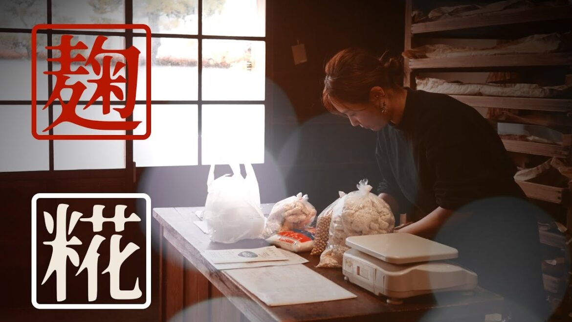 こうじ製造所「中村屋老舗」｜香貫山は今日も富士山の眺望ヨシ！