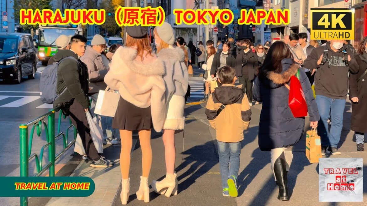 4k hdr japan travel | Walk in Harajuku（原宿）Tokyo japan |  Relaxing Natural City ambience