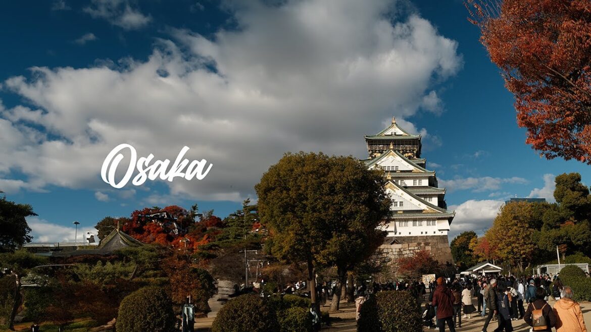 Osaka Adventure: 2 Days, Infinite Delights! | Episode 2 - Japan Vlog