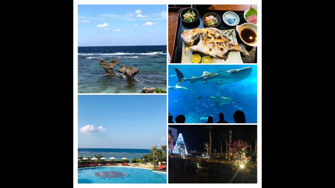Okinawa tour 2019 Okinawa tour 2019