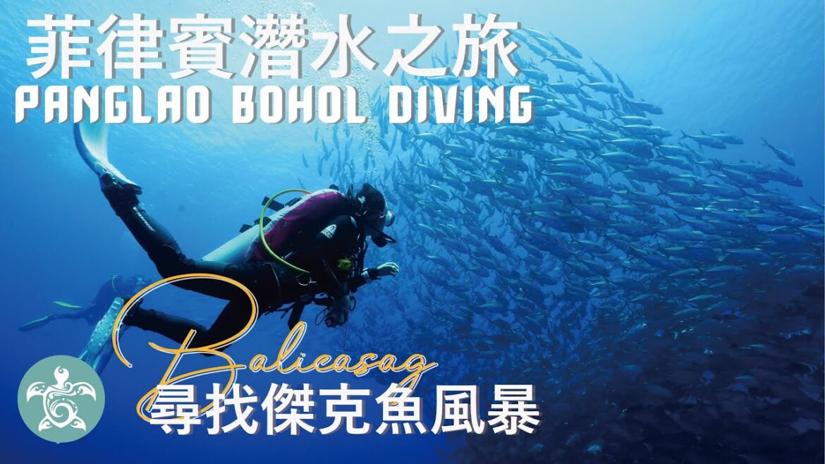 Panglao Bohol Diving Tour of Balicasag |菲律賓潛水之旅 | Balicasag 尋找傑克魚風暴 Panglao Bohol Diving Tour of Balicasag |菲律賓潛水之旅 | Balicasag 尋找傑克魚風暴