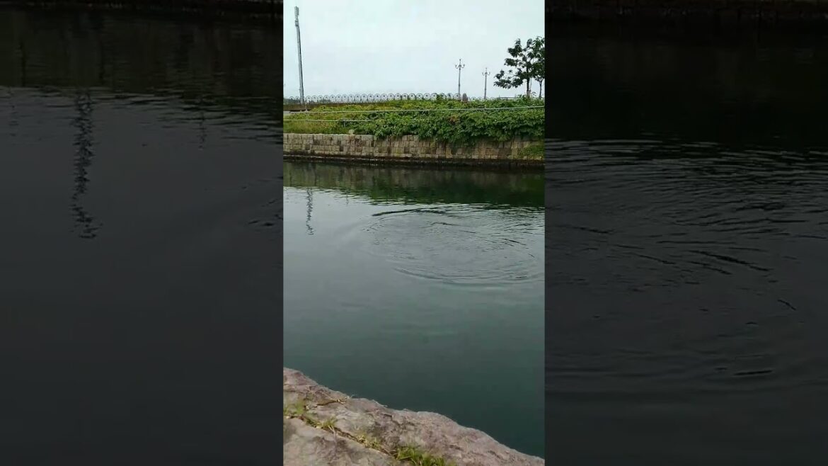 O canal de Otaru no Japão. #japan #japão #turismo #travel #viagem #otaru #world #lugares #oriental