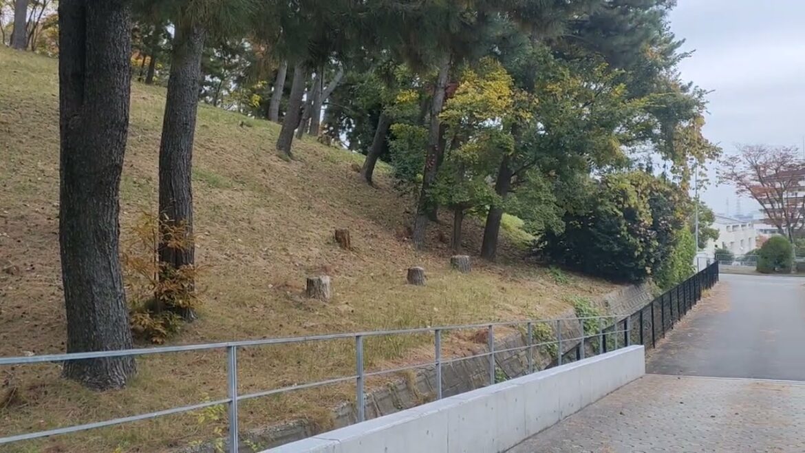 សួនច្បារនៅមន្ទីរពេទ្យ, ស្អាតម្លេះ, beautiful park and garden in hospital #travel #foryou #food