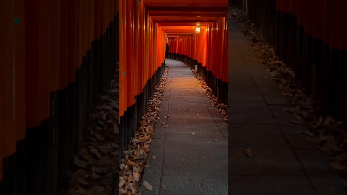 Day 196 of Full Time Travel - Kyoto, Japan | Bamboo Forest and Fushimi Inari