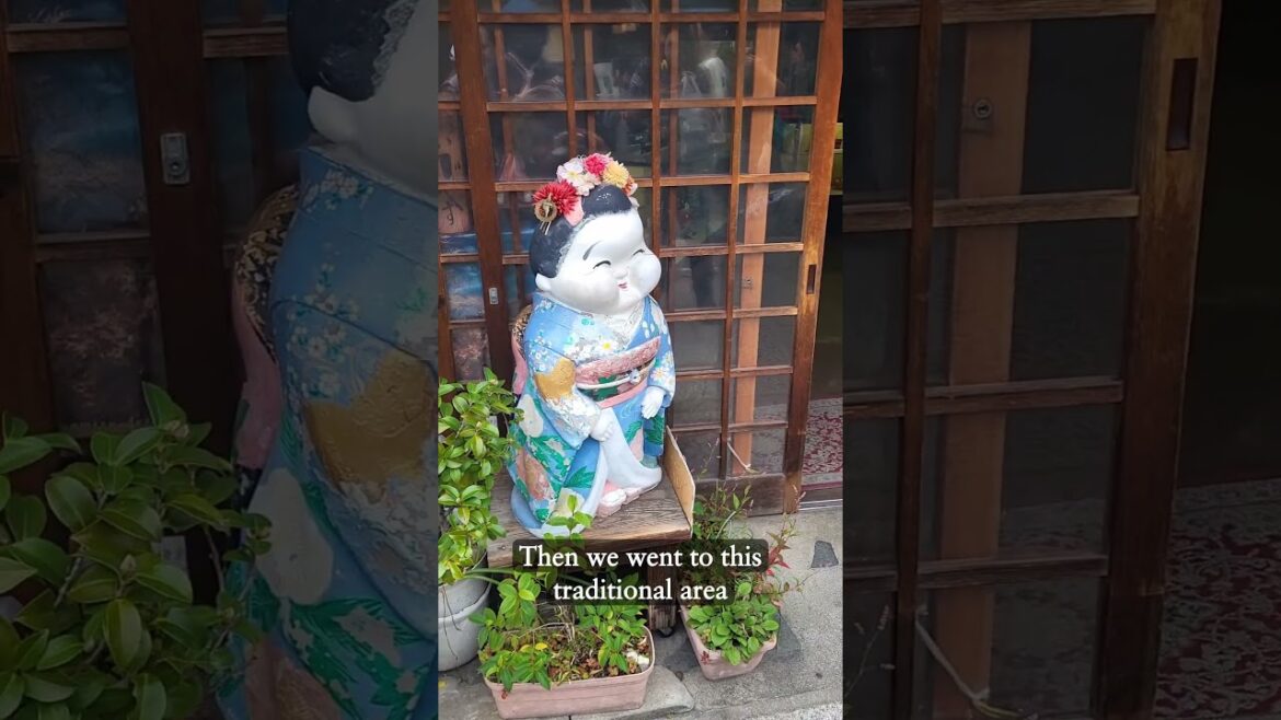 Let’s go to KYOTO! #travel #japan #kyoto #japanvlog Let's go to KYOTO! #travel #japan #kyoto #japanvlog