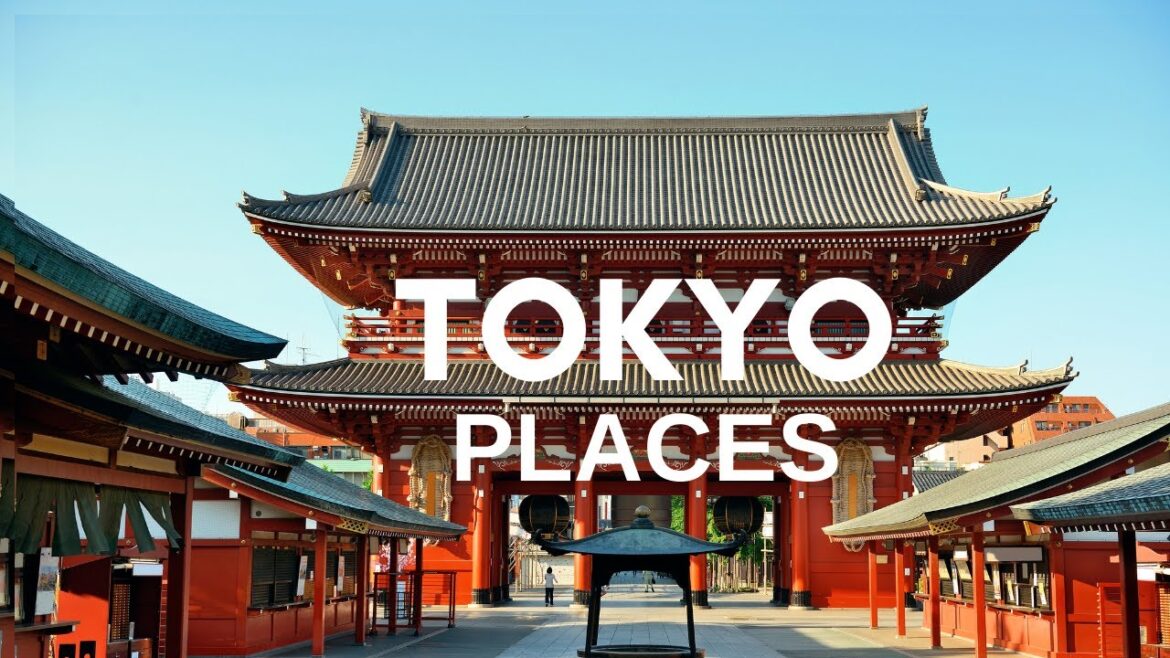 Tokyo tour_  time traveler time to discover new places