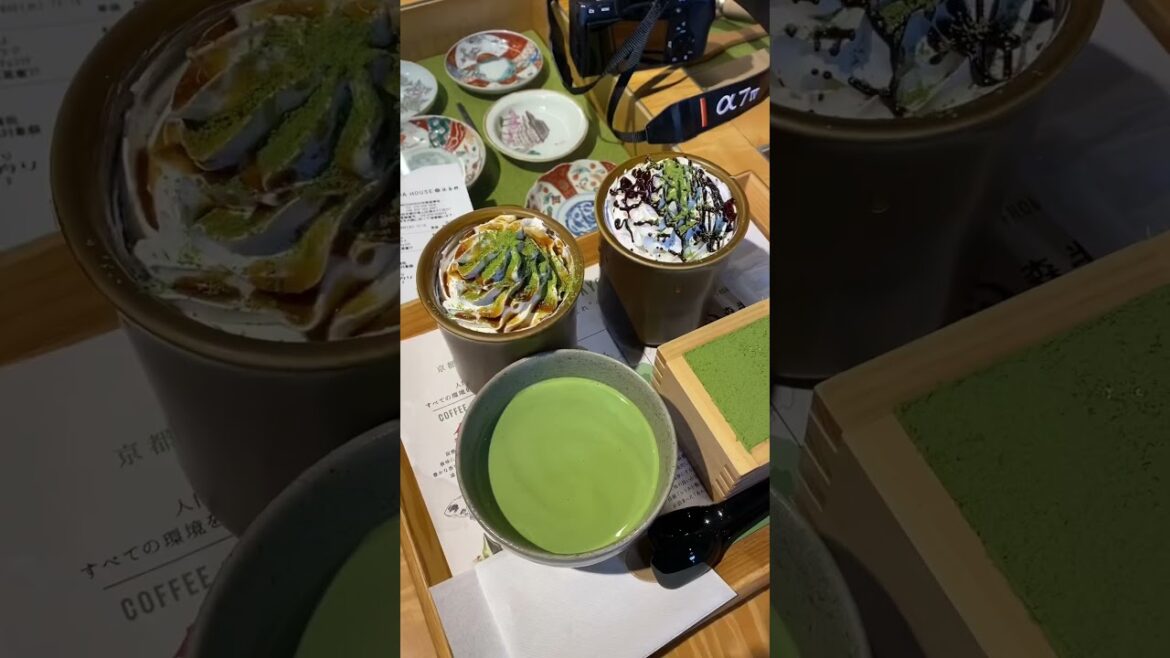 Kyoto Vlog🍵 | #fafaandfamily #travel #japan #osaka
