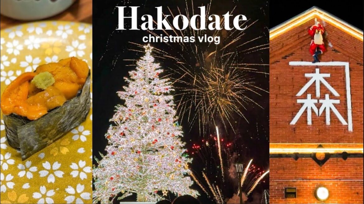 Hakodate travel vlog/winter festival/Hokkaido/Japan/christmas/seafood/night view/monkey at onsen Hakodate travel vlog/winter festival/Hokkaido/Japan/christmas/seafood/night view/monkey at onsen