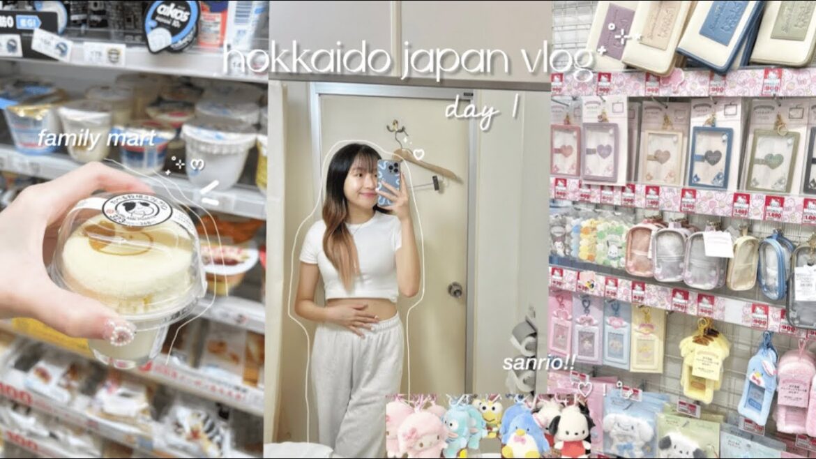 LANDED IN HOKKAIDO JAPAN!! 🇯🇵🛒 (day 1)  | shopping at family mart, don don donki, sanrio etc! ⋆𐙚₊˚⊹