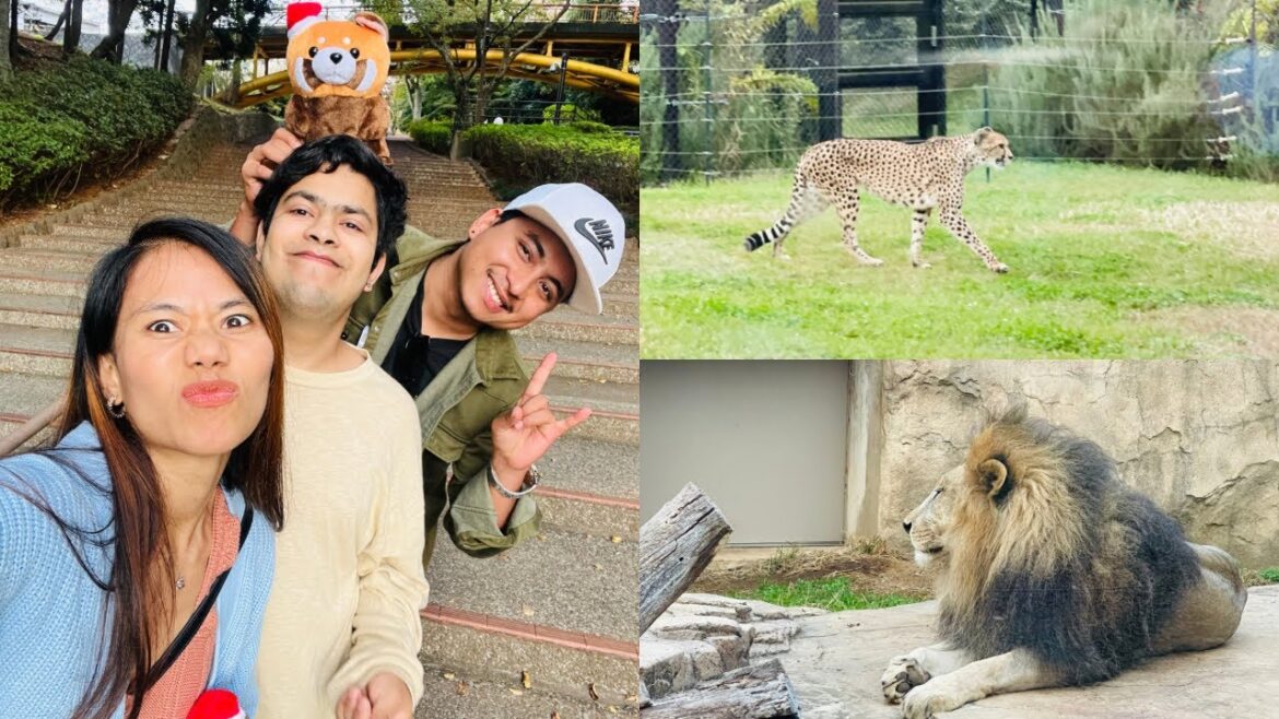 Dayout  ❤️|Chiba zoological Park (千葉動物公園)