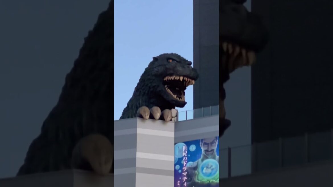 Shinjuku Godzilla said Good morning #japan #shinjuku #travel #godzilla