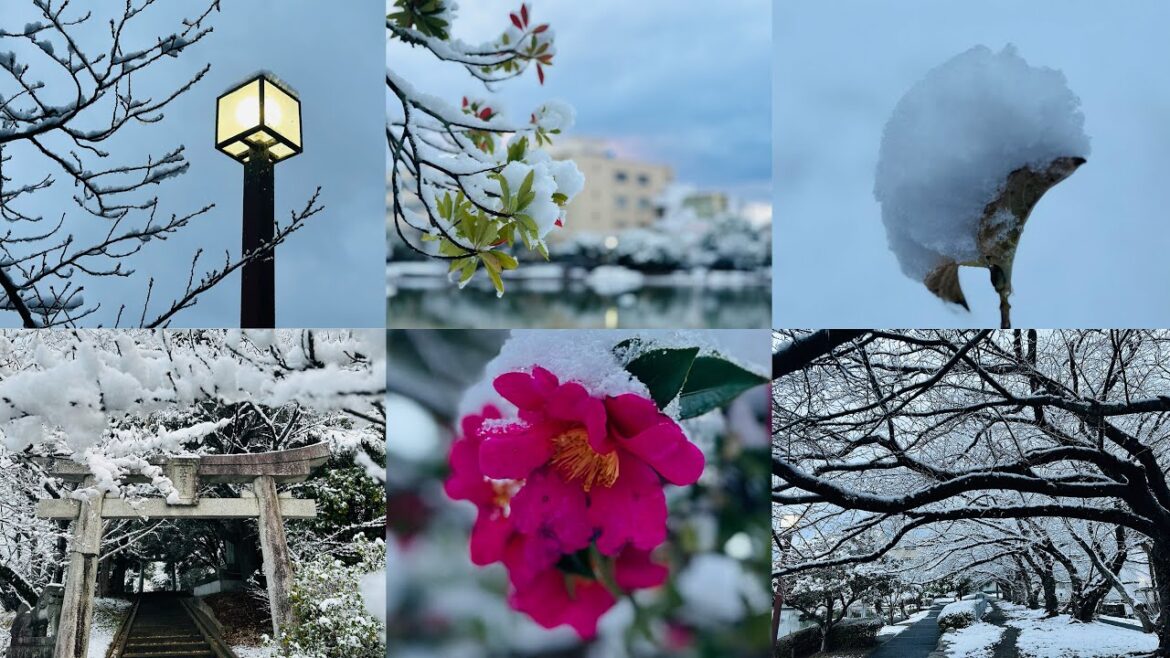 [4k] Snowfall at Katsumori Park | Walking Tour | Iizuka | Fukuoka | Japan | 2023 |