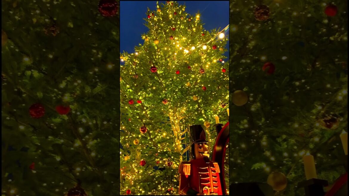 🎄 CHRISTMAS MARKET ⛄ Kobe, Japan