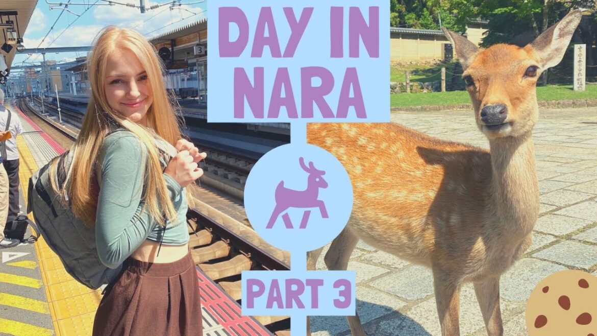 Day in Nara Japan│ 奈良 Part 3