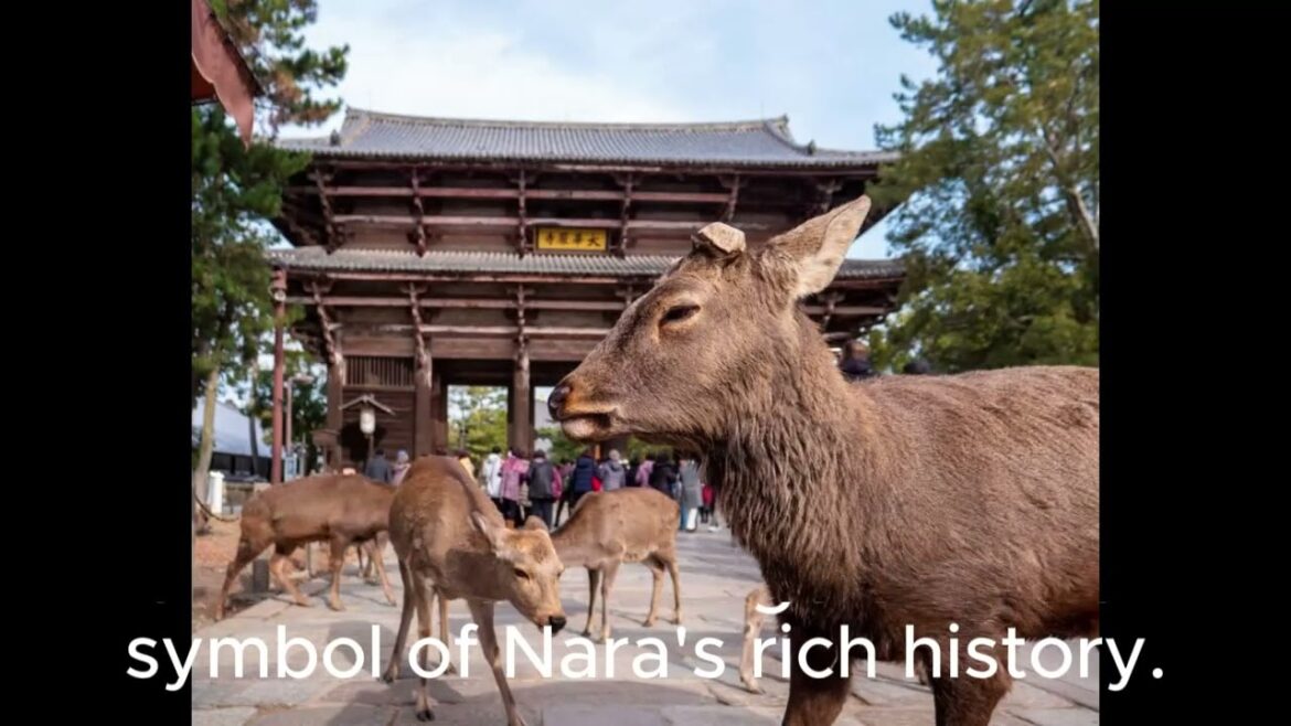 Japan's Top 5: Must-Visit Destinations for Travele