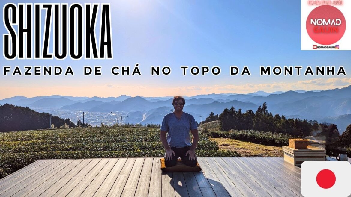 Shizuoka: fui tomar chá numa fazenda no topo da montanha da região mais tradicional do Japão! Shizuoka: fui tomar chá numa fazenda no topo da montanha da região mais tradicional do Japão!
