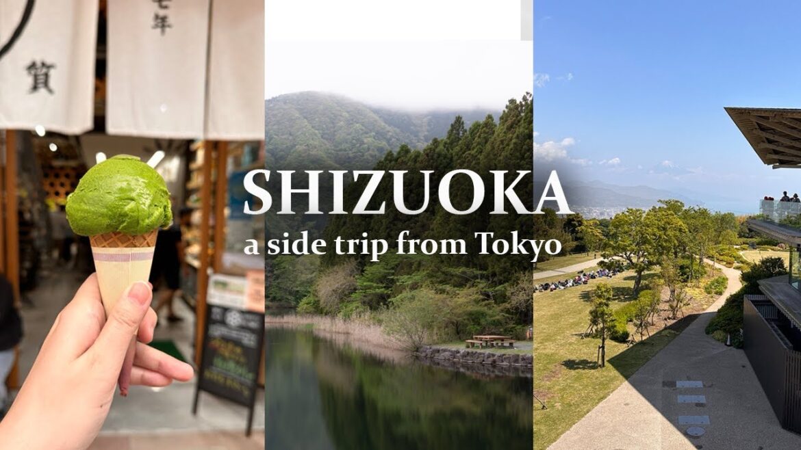 Shizuoka trip from Tokyo | Sunny Sight See