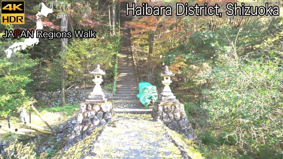 Sumata Gorge, Shizuoka | 4K HDR | 静岡県寸又峡