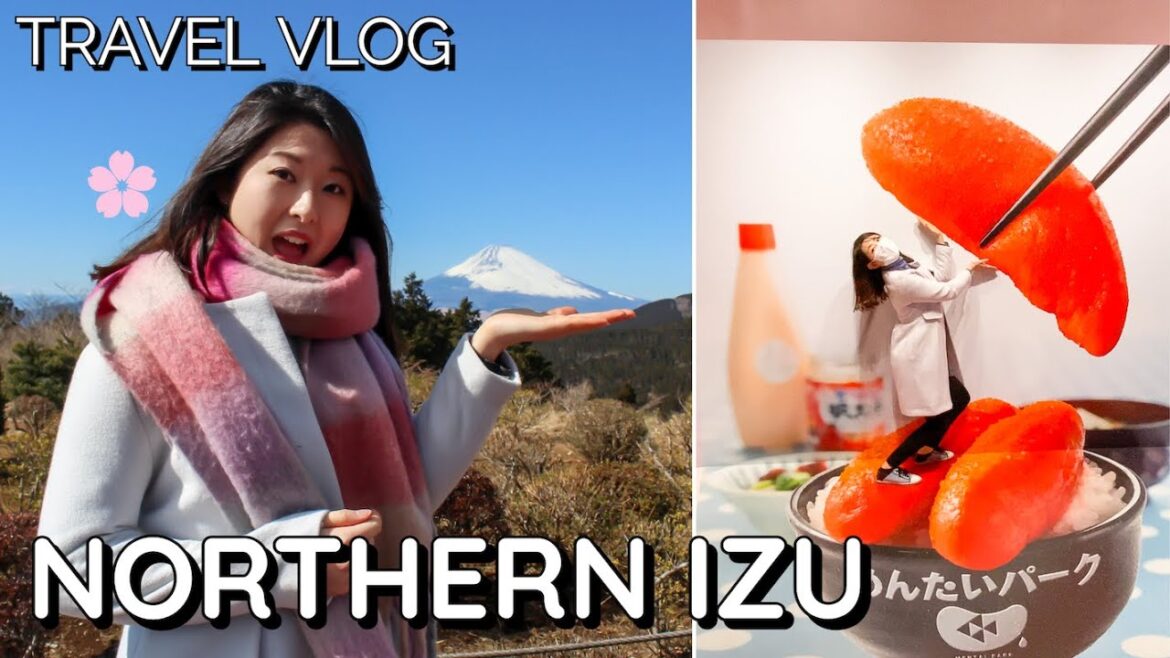 Things to do in Northern Izu | Mt Fuji, Road Station and Shuzenji | Atami & Izu Series 6/6 Things to do in Northern Izu | Mt Fuji, Road Station and Shuzenji | Atami & Izu Series 6/6