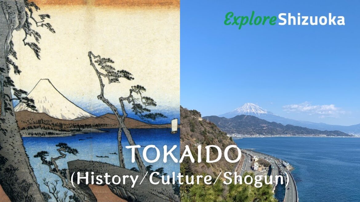 Virtual Fam Trip :TOKAIDO (History/Culture/Shogun)_Shizuoka 4K