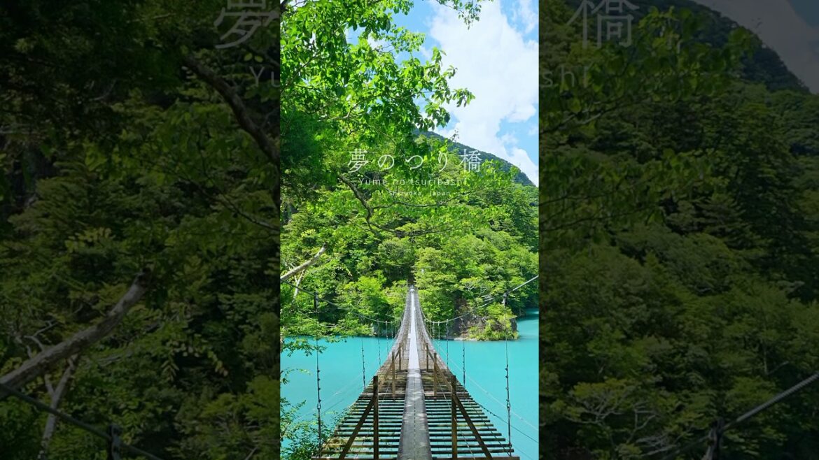 Yume no Tsuribashi||Shizuoka Japan