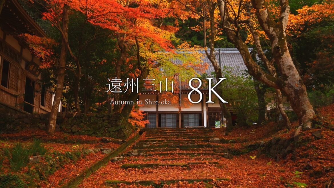 【遠州の小京都編】死ぬまでに行きたい静岡県の絶景5選 – JAPAN in 8K 【遠州の小京都編】死ぬまでに行きたい静岡県の絶景5選 - JAPAN in 8K