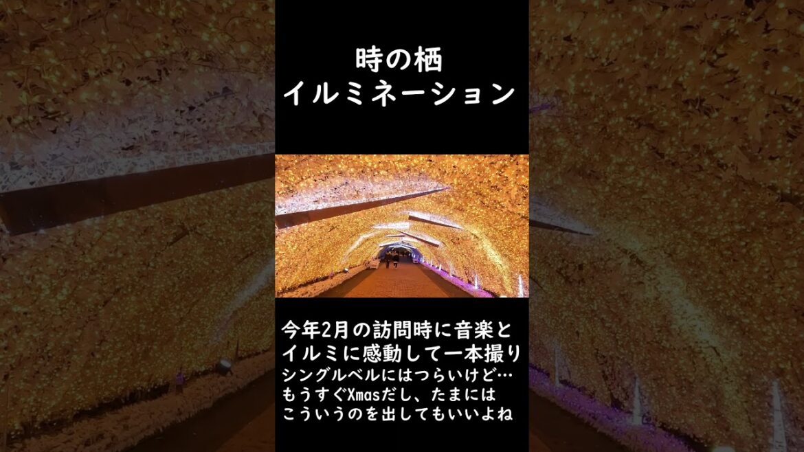 時之栖イルミネーション。その瞬間に立ち止まって撮った一本  Tokino-Sumika: "Tunnel of Light" #youtubeshorts